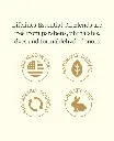 8459e48baafdc3bd13050e228b80f3c8eaff67d5c44585482bfa687220c7d440.webp