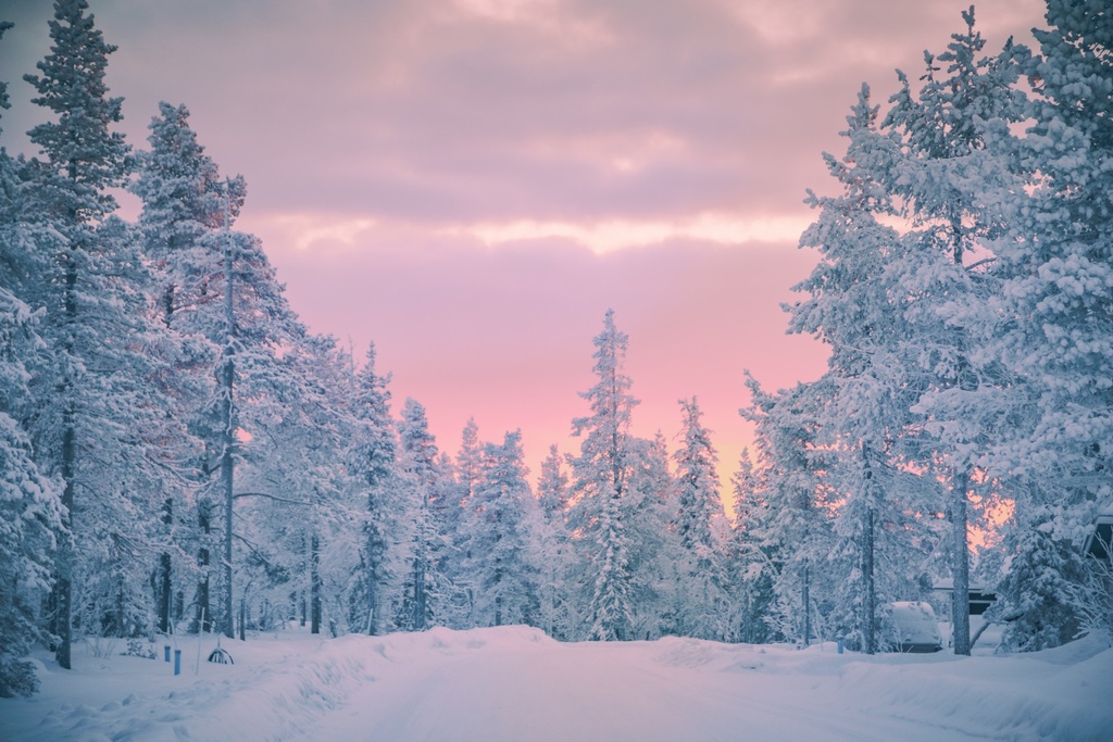 ICED VANILLA WOODS (Type) by BBW® Fragrance Oil