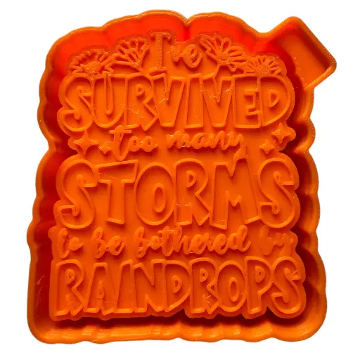 Survived Too Many Storms Car Freshie Silicone Mold